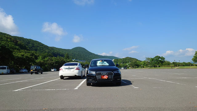 Audi (2).JPG