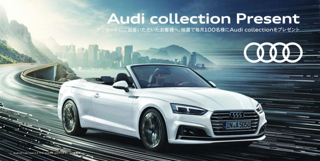 Audi collection present (1).jpg