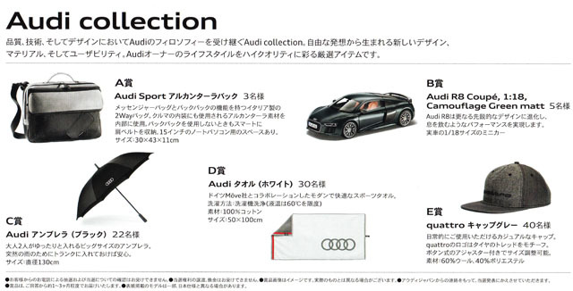 Audi collection present (2).jpg
