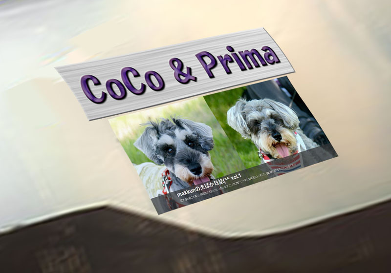 CoCo & Prima-800 のコピー.jpg