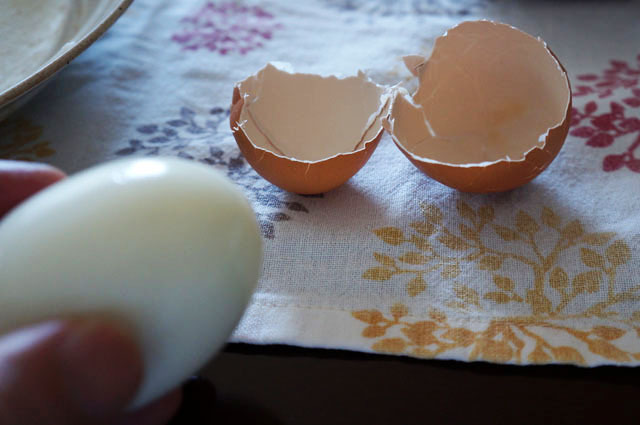 ゆで卵 (1).JPG