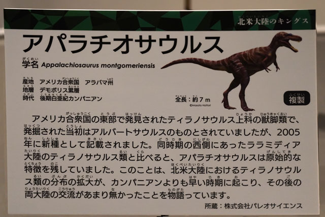 アパラチオサウルス (1).JPG