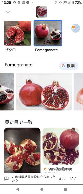 アメリカpomegranate (1).JPG