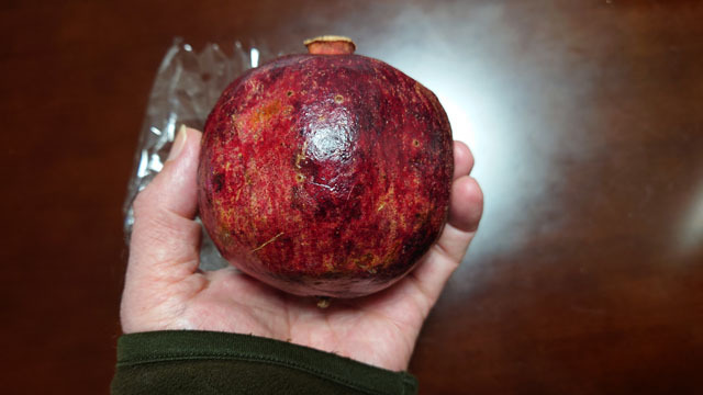 アメリカpomegranate (2).JPG