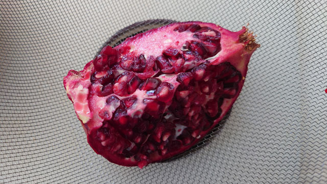 アメリカpomegranate (5).JPG