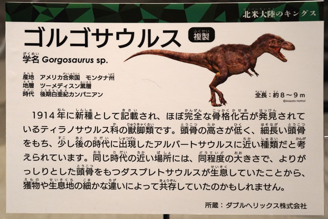 ゴルゴサウルス (1).JPG