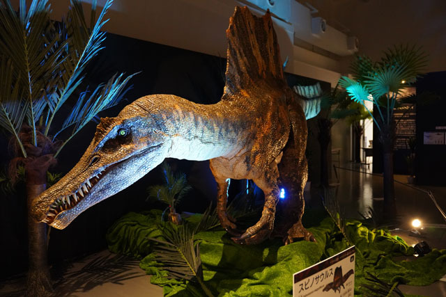 スピノサウルス (1).JPG