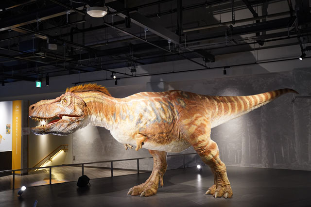 ティラノサウルス科復元ロボット.JPG