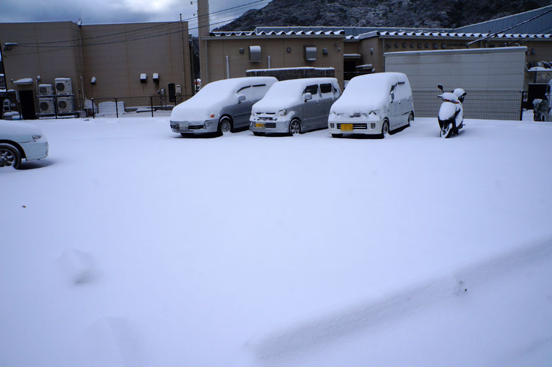 大雪　3.JPG