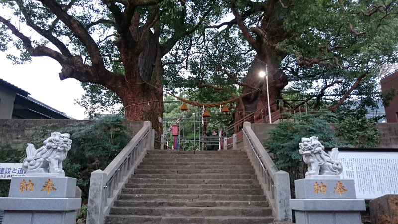 山王神社　被爆クスノキ　1.JPG
