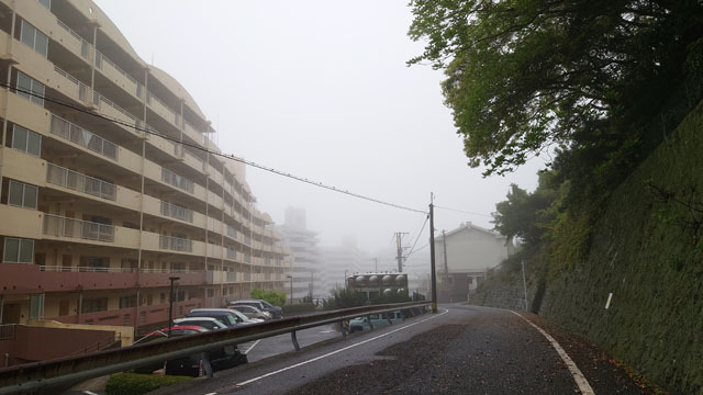 濃霧 (1).JPG