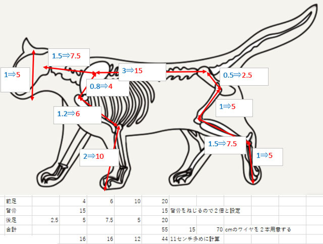 猫の骨格計算.jpg