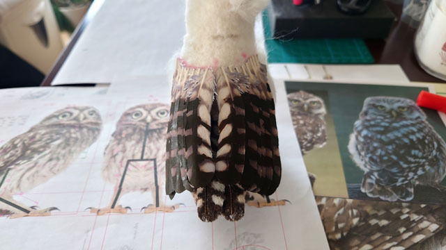 羊毛フェルトでコキンメフクロウを作る (2).JPG