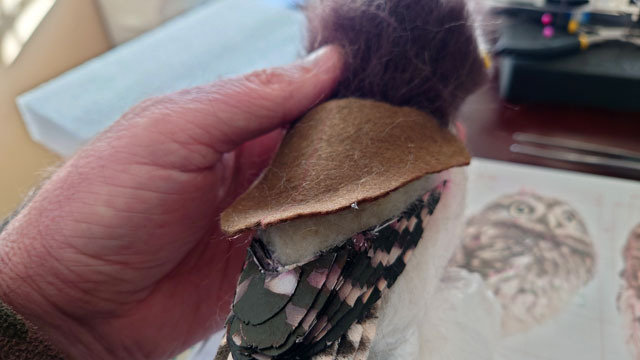 羊毛フェルトでコキンメフクロウを作る (4).JPG