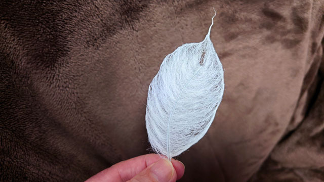 羊毛フェルトで羽根を作る (4).JPG