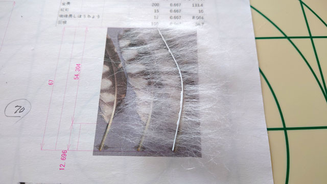 羊毛フェルトで羽根を作る (5).JPG