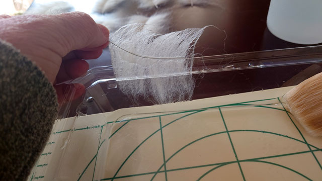 羊毛フェルトで羽根を作る (9).JPG