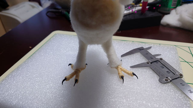 羊毛フェルトで鳥を作る (4).JPG