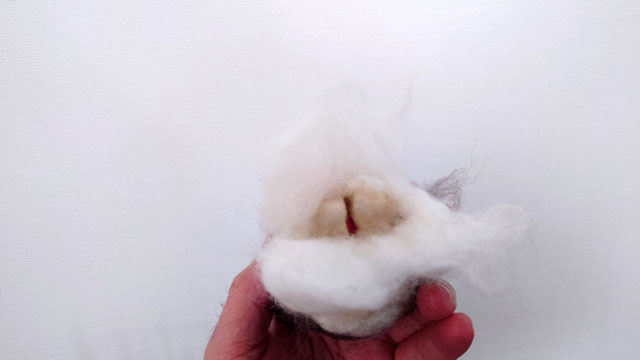 羊毛フェルト猫 (1).JPG