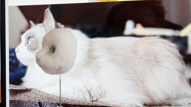 羊毛フェルト猫 (3).JPG