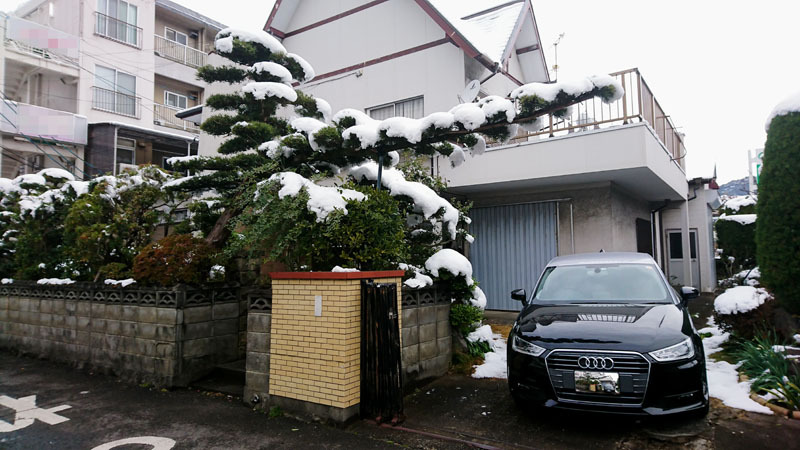 長崎　雪　3.JPG