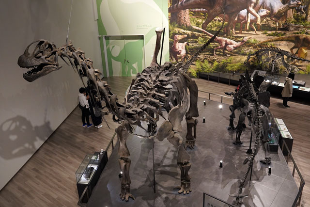 長崎市恐竜博物館 -カマラサウルス (1).JPG