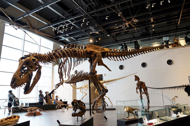 長崎市恐竜博物館 -ティラノサウルス(1).JPG