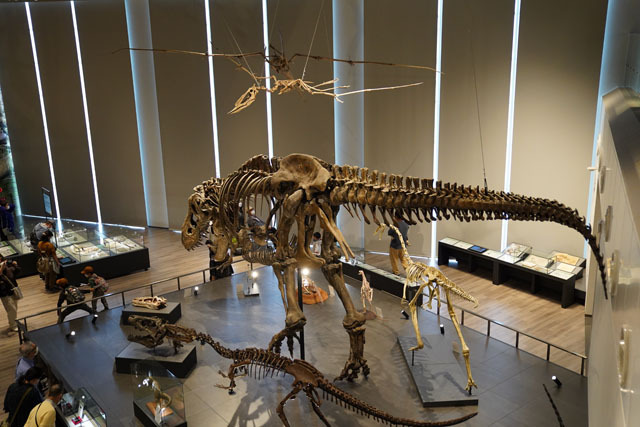 長崎市恐竜博物館 -ティラノサウルス.JPG