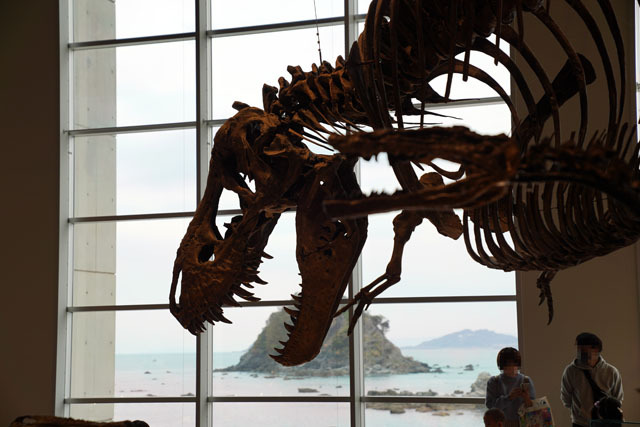 長崎市恐竜博物館 -ティラノサウルス (2).JPG