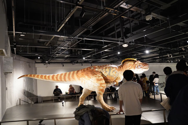 長崎市恐竜博物館 -ティラノサウルス科復元ロボット.JPG