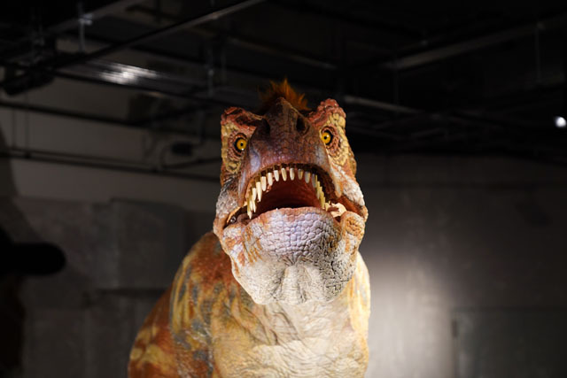 長崎市恐竜博物館 -ティラノサウルス科復元ロボット (2).JPG