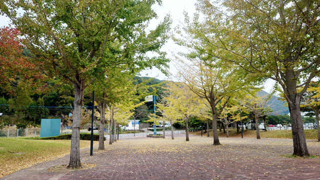 長崎市総合運動公園 (2).JPG