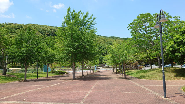 長崎市総合運動公園（かきどまり） (1).JPG