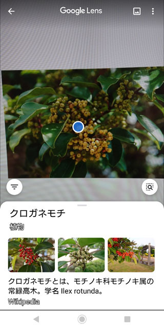 Google lens (1).jpg