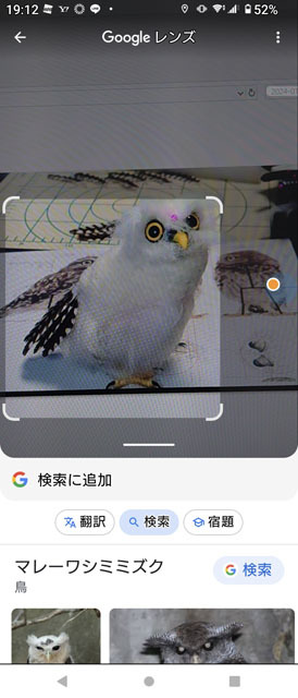 Googleレンズ.jpg
