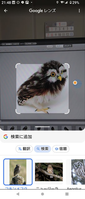 Googleレンズ (1).jpg
