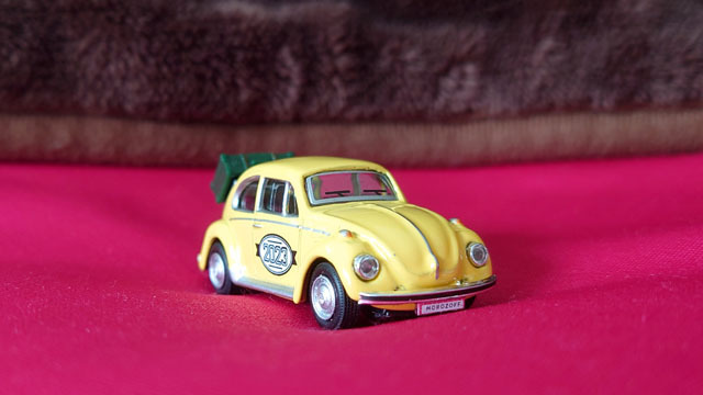 Travel Beetle (5).JPG
